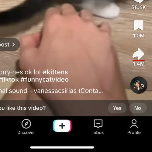 pulsante Condividi post di tiktok.