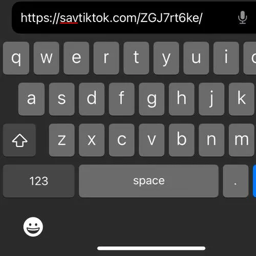 come scaricare l'immagine di tiktok nel browser.